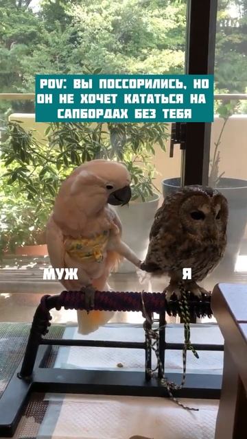 Знакомо?