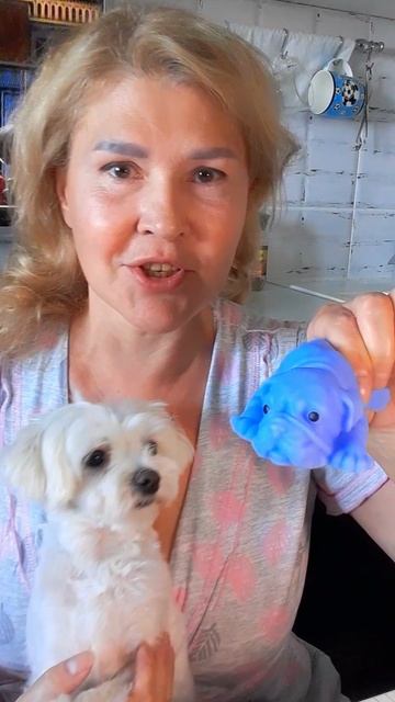 Голубой щенок