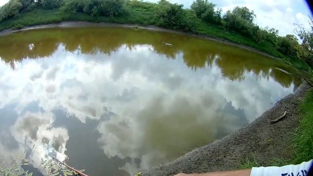 Да сколько же их здесь молодых зубастых леди. Рыбалка на мелководье И все таки Я ее доловил. смотреть онлайн