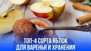 Секреты выбора яблок: какие сорта подойдут для варенья и хранения до Нового года?