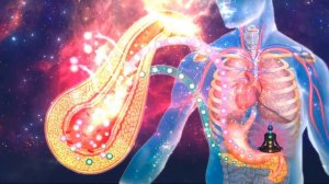 Сахарный Диабет чистая матрица подлинная