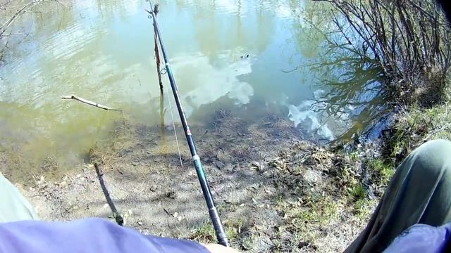 Ловим карасика на корвалол смотреть онлайн