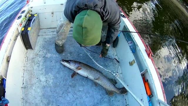 Лучшие открытие сезона ЩУКА ,ОКУНЬ и Я его НАШЕЛ смотреть онлайн