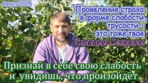 Признание своей слабости.
