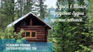 Пять дней в Тайге: трудовые будни промысловиков. Встретили медведя, кормим комаров.