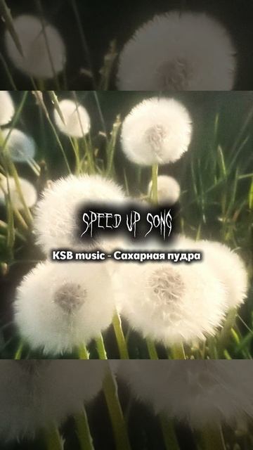 Песня сахарная пудра смотреть онлайн