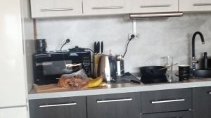 мой новый дом