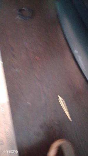 1000016707.mp4