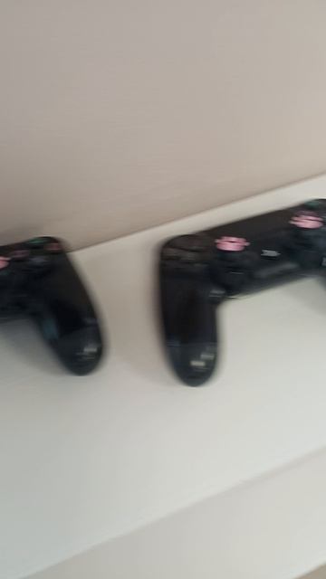 Котокафе МАО. Кострома. Июнь 2025