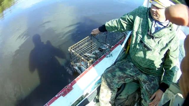 Рыбалка на Конского Окуня ну а щуки в прилове. смотреть онлайн