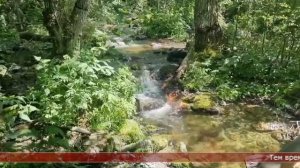 14.08.2025 Сахалинские блоги. САХАЛИН СЕМЬЯ НОВИКОВЫ. Сахалин, Гора, Лягушка, Туристический маршрут