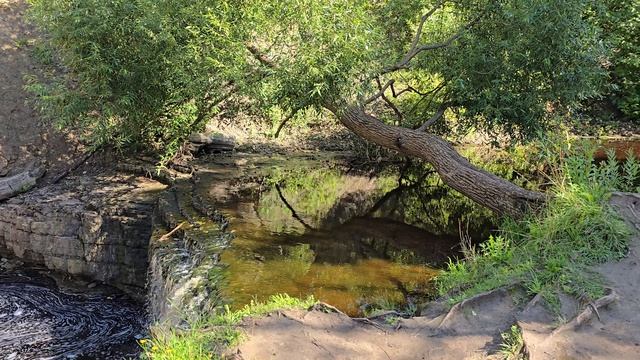 Саблино Ульяновка 08.25