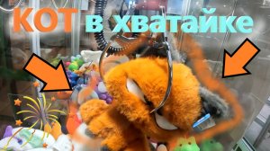 Оранжевый КОТ в АВТОМАТЕ-ХВАТАЙКЕ нещедрого владельца!!! Кот в хватайке! Получится ли выиграть???