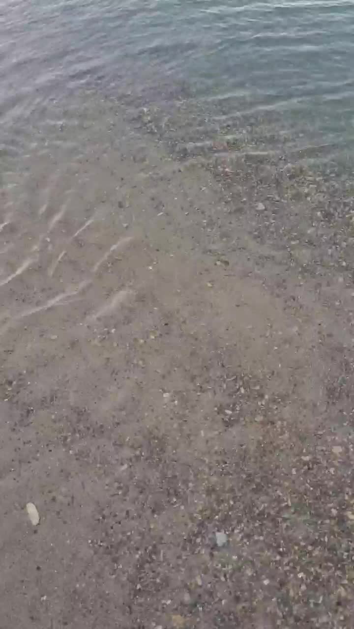 Джубга Онлайн