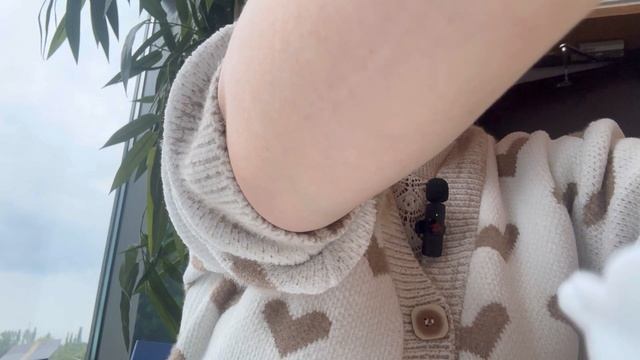 Вьетнамская кухня, ужин. Мукбанг смотреть онлайн