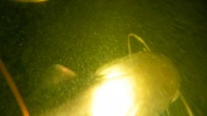 Глубинные Омуты Волги. Огромные Стаи Судаков. Подводная охота в Августе.