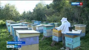 Пчеловоды заканчивают летний сезон