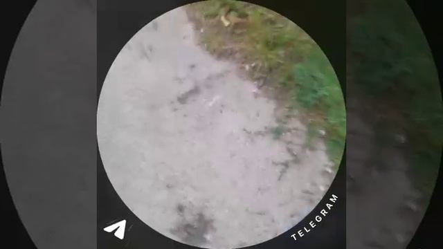 Я везу воду смотреть онлайн