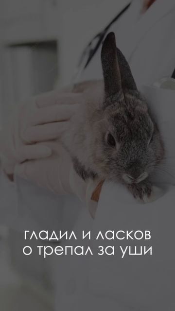 #islam #shortsvideo #islamic #allah #short #shorts #quran #edit #youtubeshorts #foryou #god