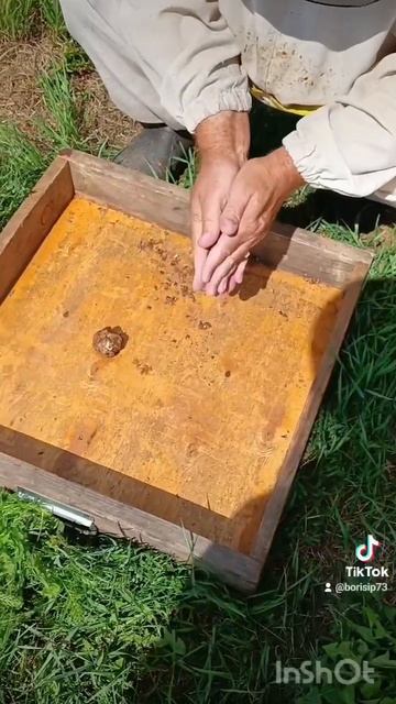 Легко и просто 🐝 Прополис 🐝 смотреть онлайн