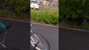 Кладём ментом в колу 0.5 л