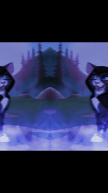 сеньйор и сеньйорита #Кастл_Кетс