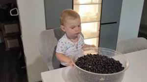 Лучший город земли. Вот это размах. Новый сад. Ремонт. Из Германии в Россию.