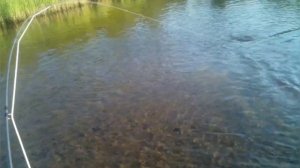 Рыбалка на Путорана. Нахлыст. Яркая финальная часть трилогии об одном маршруте.