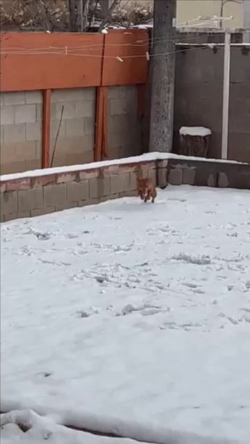 Первый снег смотреть онлайн