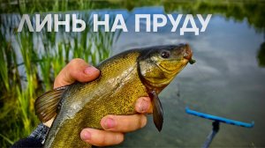 РЫБАЛКА за КАРАСЕМ на сельском пруду!!! А тут ЛИНЬ на пруду!