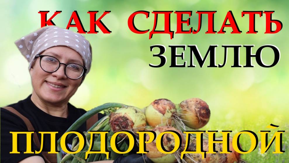 Когда и как убирать репчатый лук с грядки чтобы хорошо и дольше хранился зимой смотреть онлайн