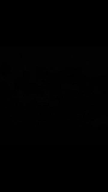 Сенди Клаус будет скучать #Кастл_Кетс