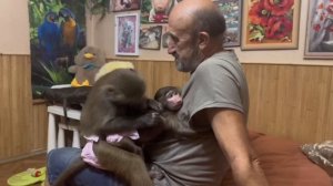 Люська нашла способ УСПОКОИТЬ Анфису, это видео должны ПОСМОТРЕТЬ ВСЕ!