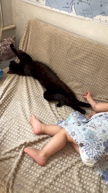 Черная кошка и маленькая лялька спят вместе #blackcat #блогер #familyvlog