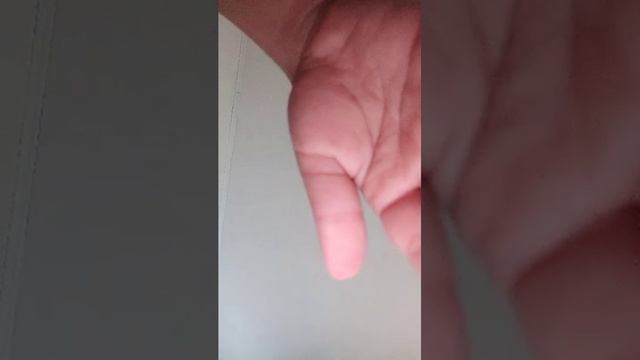 попугай смотреть онлайн