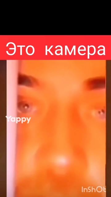 видео с моего канала ЯППИ  14.08.2025