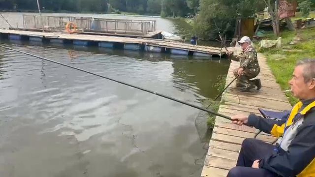 Карп смотреть онлайн