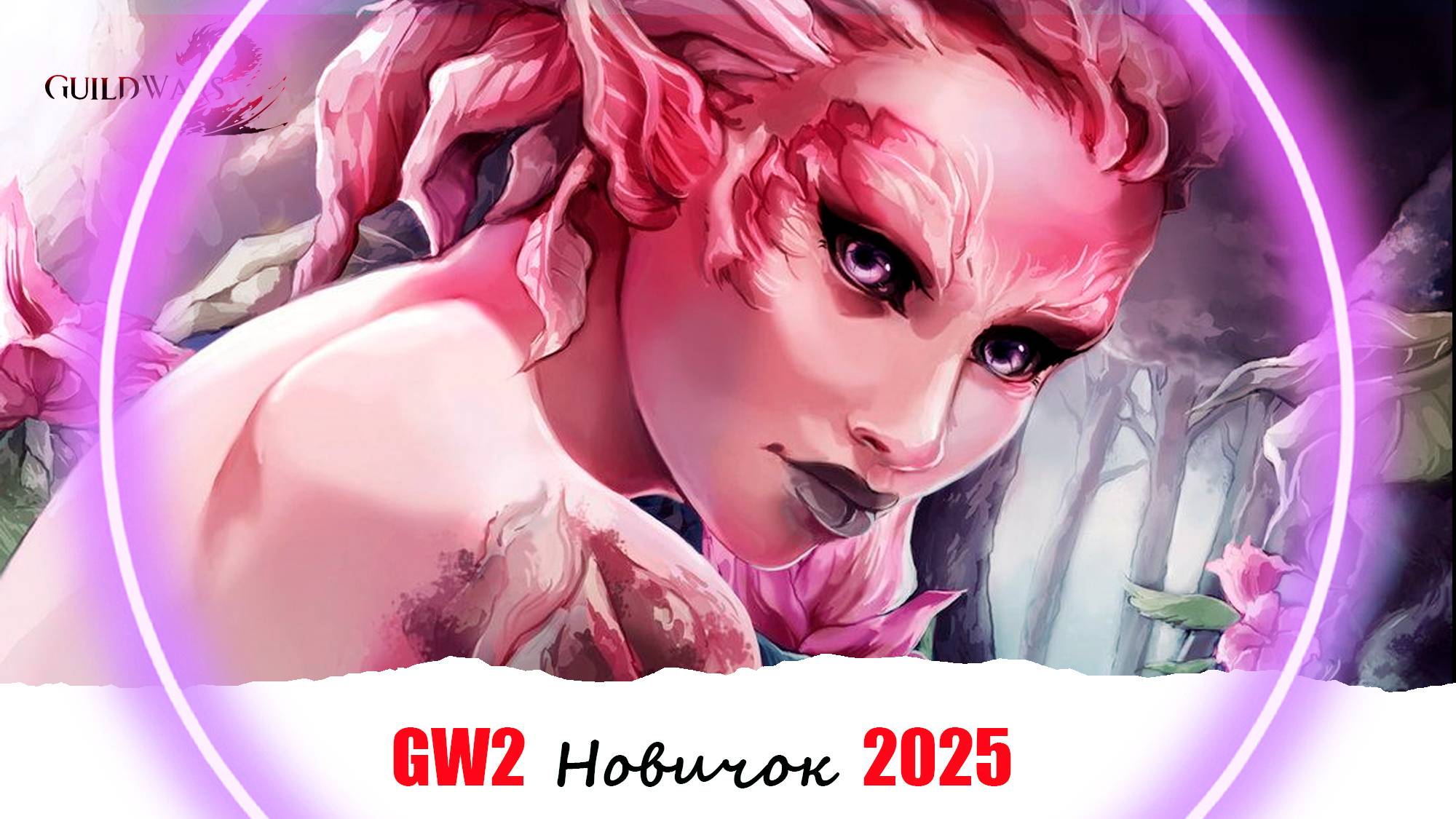 GUILD WARS 2 Первые Яркие Впечатления от Игры ► Новичок в 2025 🥨 смотреть онлайн