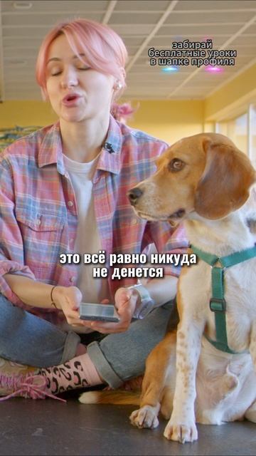 🎁Бесплатные уроки. Жми сюда! смотреть онлайн