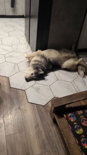 Несанкционированный теребилдинг