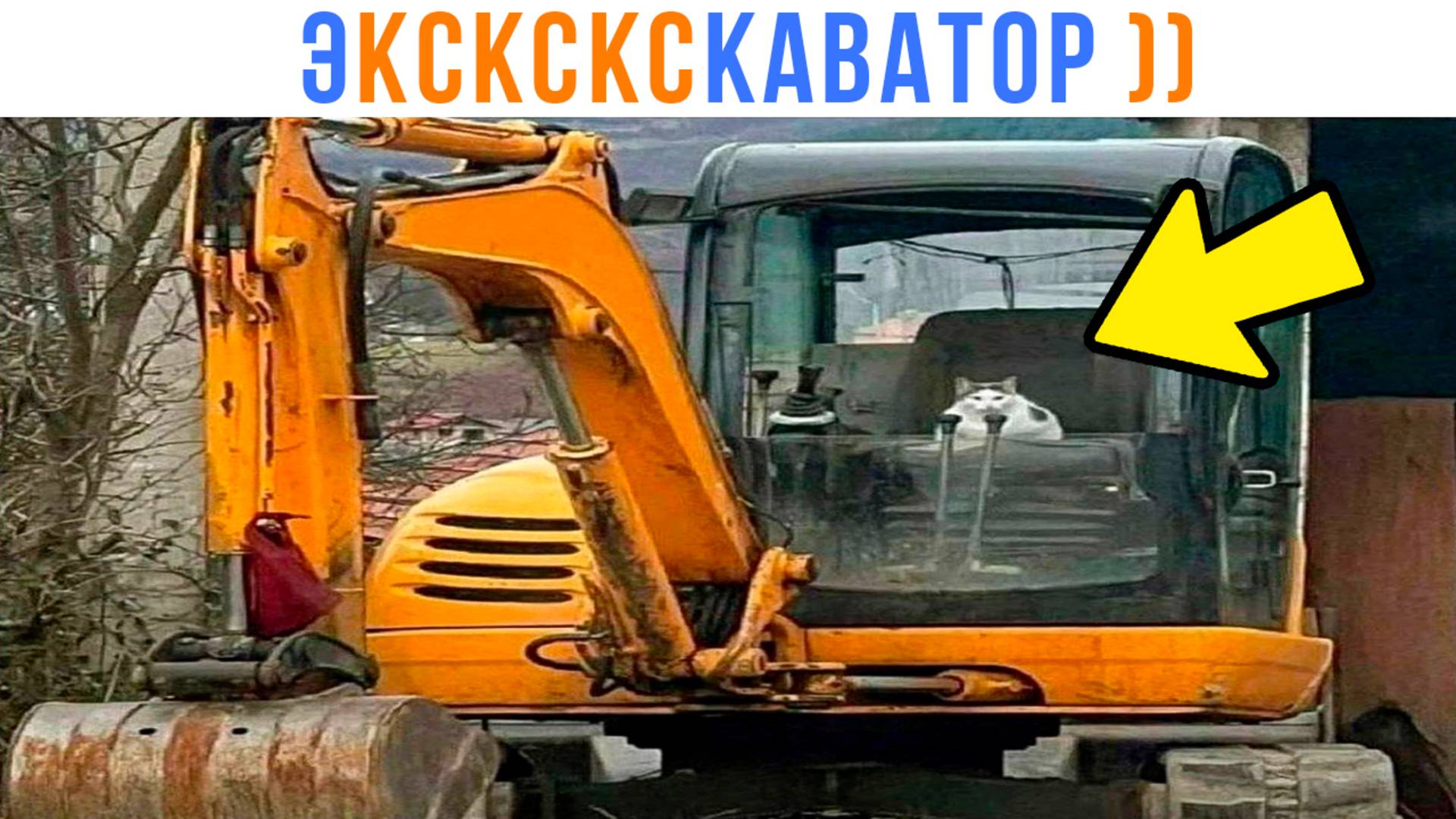 Э-КС-КС-КС-КАВАТОР ))) Приколы с котами | Мемозг 1649