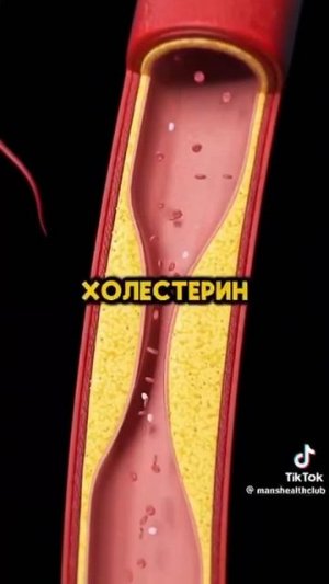 Диета с луком