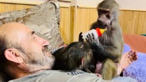 СМЕЕМСЯ не переставая, Люся идет на все, лишь бы оставить себе Анфису и быть рядом с Владом)))