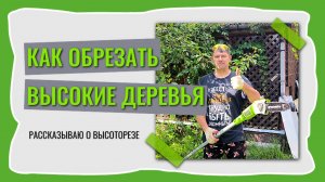 Кусторез-высоторез GreenWorks для работы с высокими деревьями