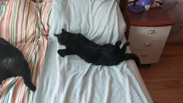 Солнечные ванны..