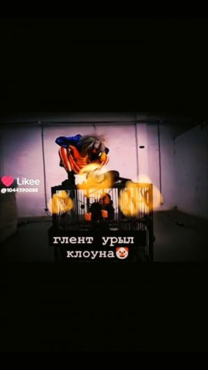 Эдит гленту)