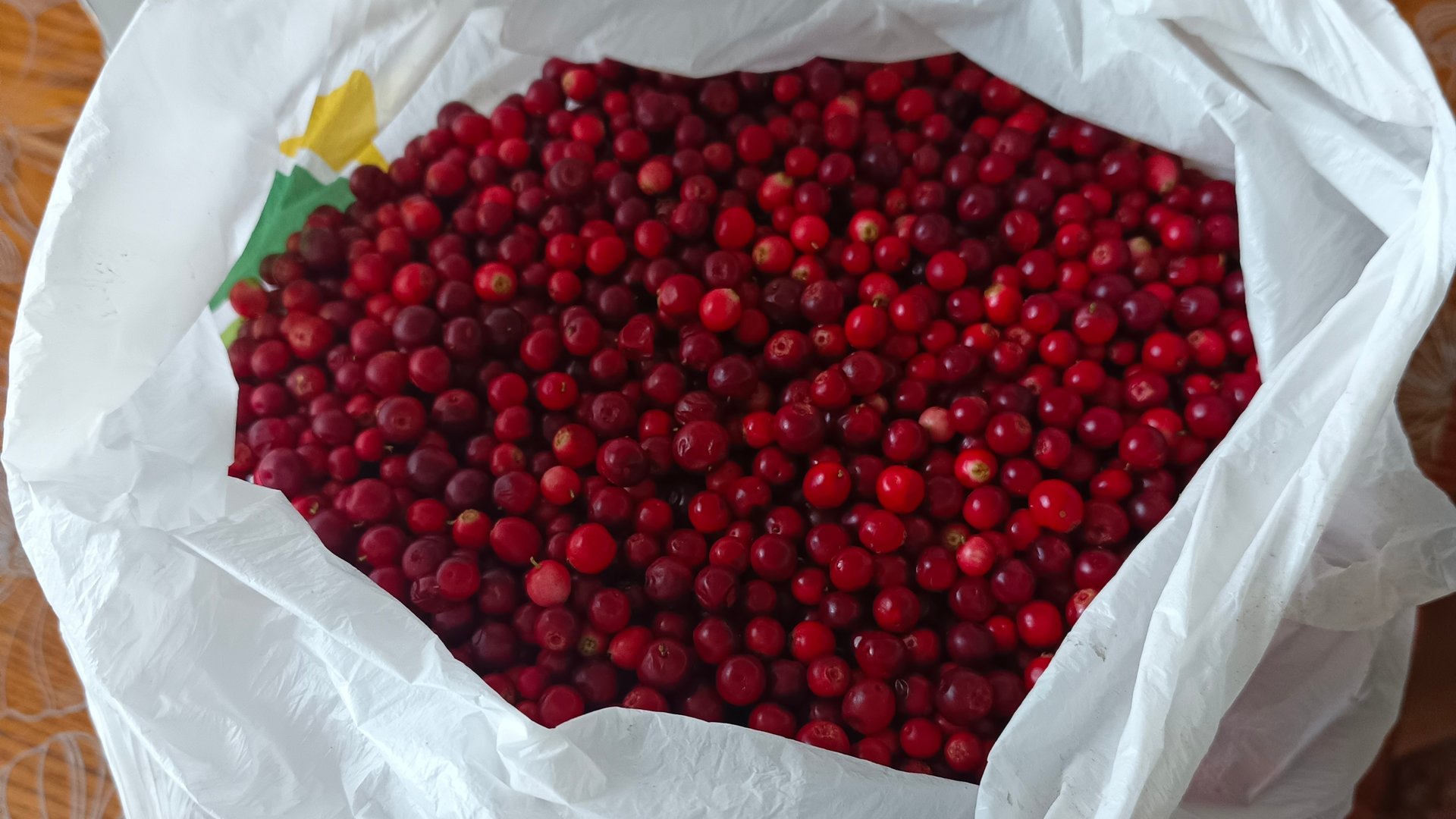 14-08-2025💥Влог💥четверг смотреть онлайн