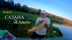 Рыбалка на Ахтубе в августе, ловля сазана на донки