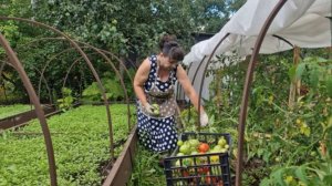 Расскажу как на духу. Ничего не получилось. Опара на две буханки хлеба. Жизнь семьи в деревне.