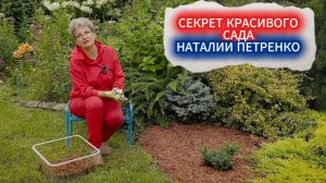 МУЛЬЧИРОВАНИЕ КОРОЙ - СЕКРЕТЫ УХОЖЕННОГО САДА НАТАЛИИ ПЕТРЕНКО